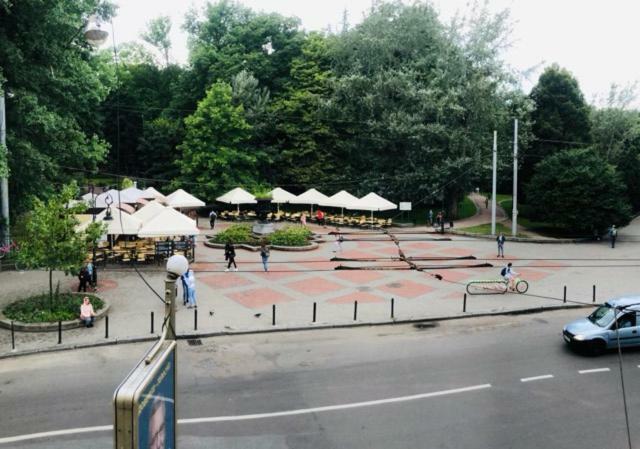 2-Х Рівнева Квартира В Центрі Університет Франка З Парковкою リヴィウ エクステリア 写真